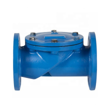 Disc Rubber Coated Cast Iron Flanged Swing Check Valve with Price